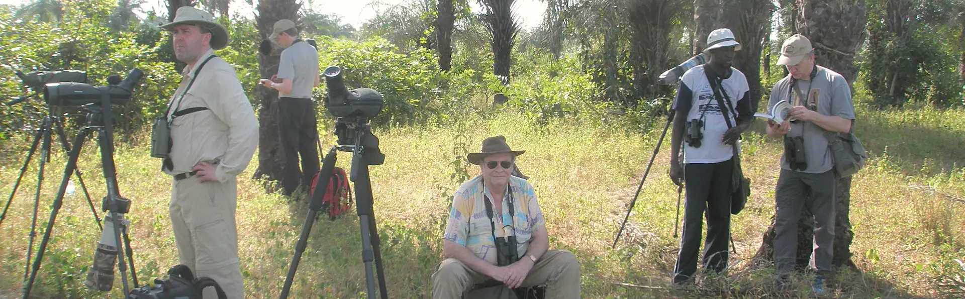 Observation des oiseaux en Gambie