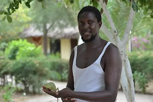 Gambia fågelguider - Lamin Bojang