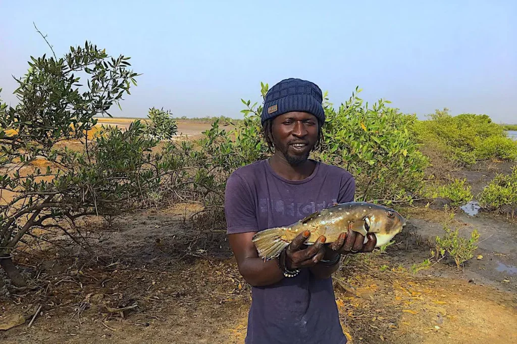 Fishing on a gambia river