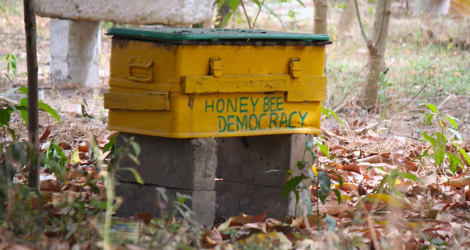 Bienenzucht auf der Jalisut Bee Farm