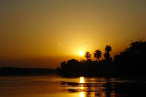 Things to do in The Gambia