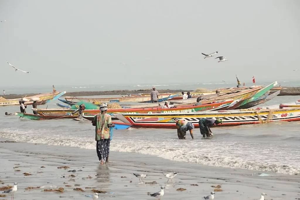 boat in Gambia