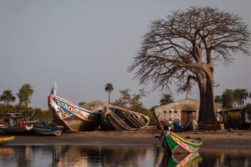 Båtar i Gambia