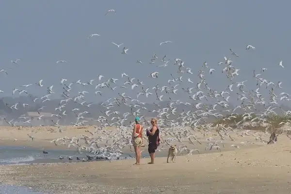 Vacation on a deserted beach