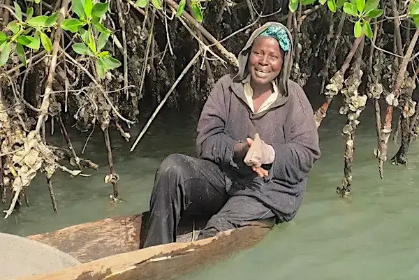 Oyster-women Gambia